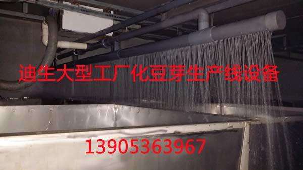 全自動(dòng)豆芽生產(chǎn)線(xiàn)，豆芽淋水線(xiàn)